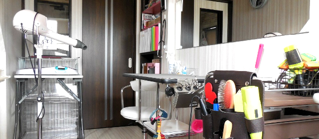PetSpace Glanz