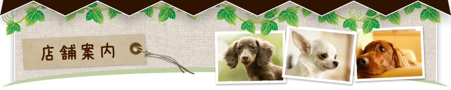 ご予約フォーム